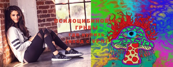 тгк Пестово